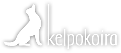 Kelpokoira